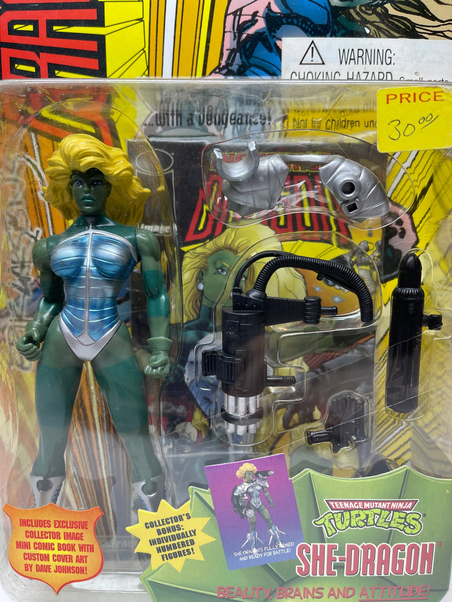 Teenage Mutant Ninja Turtles She-Dragon
