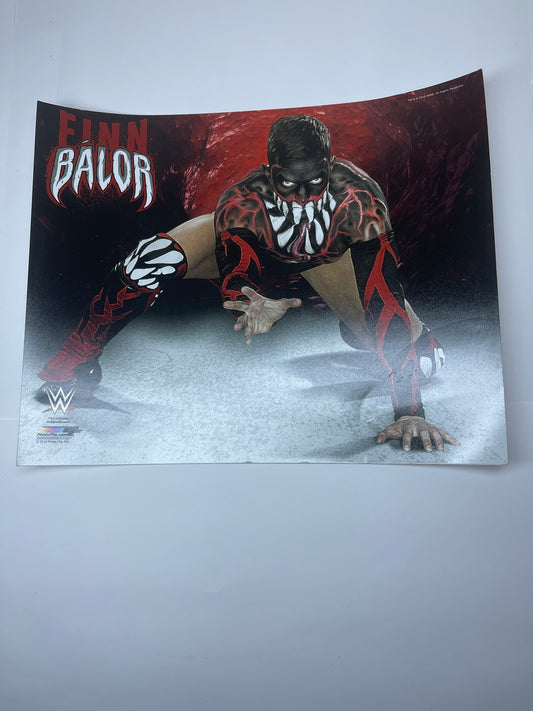 Finn Balor WWE Wrestler Photograph 8"x10"