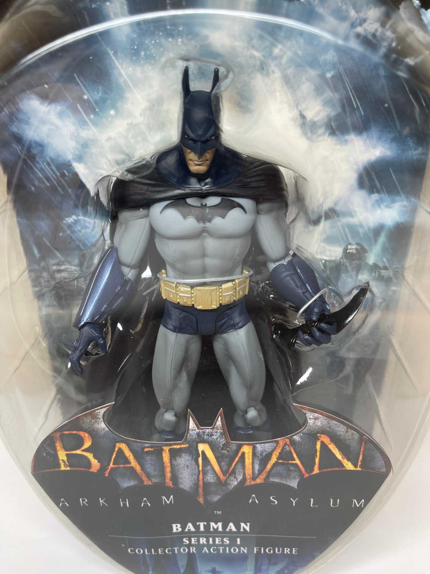 Batman Arkham Asylum Series 1