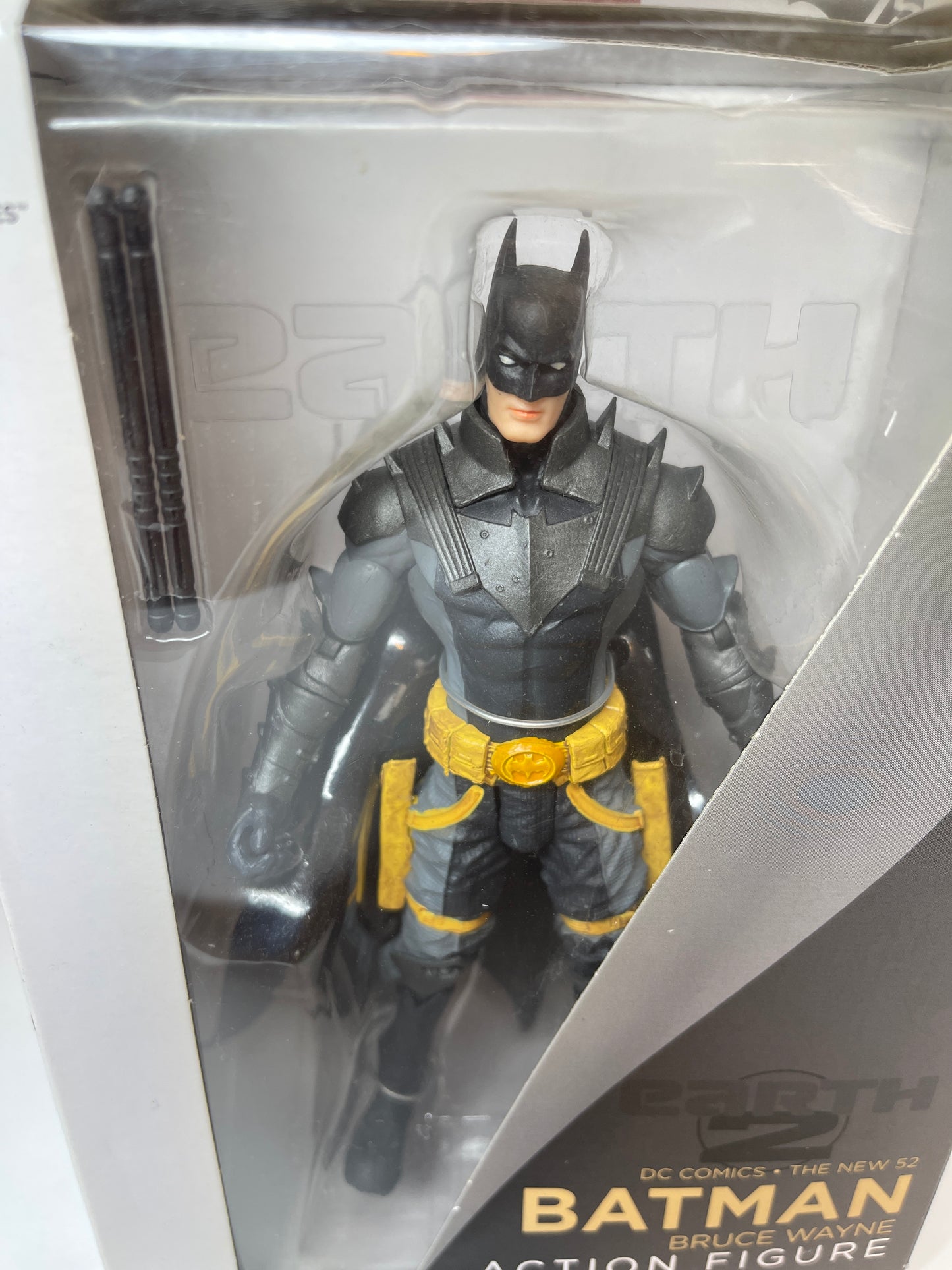 Batman Bruce Wayne Earth 2